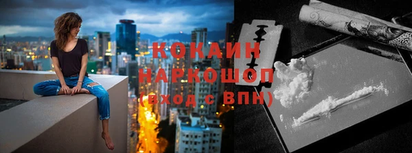 индика Себеж
